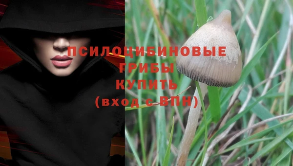 мяу мяу мука Горнозаводск