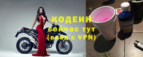spice Гусев