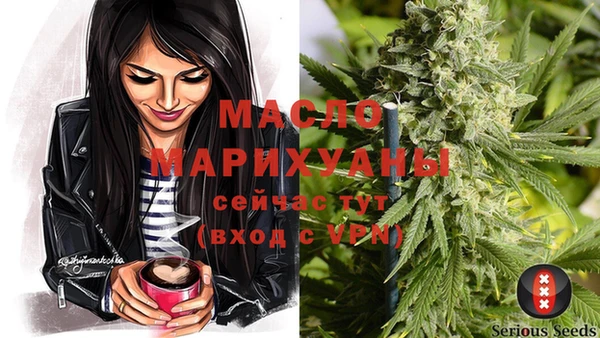 spice Гусев