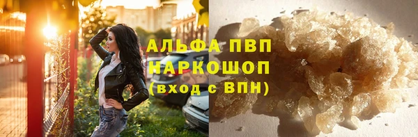 spice Гусев