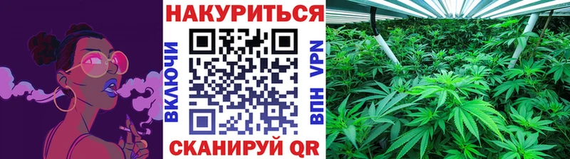 Купить где  Любим  Бошки Шишки план 